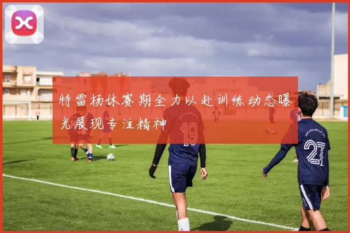 特雷杨休赛期全力以赴训练动态曝光展现专注精神